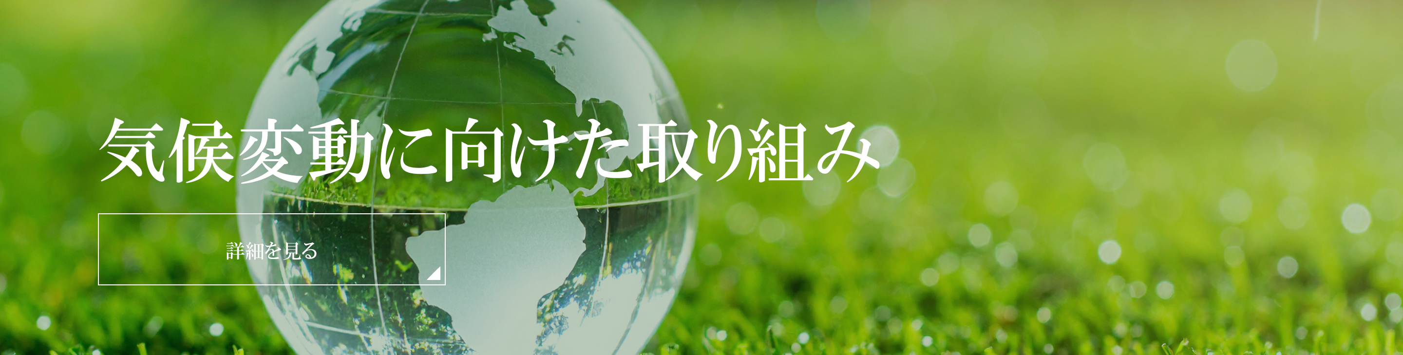 気候変動に向けた取り組み