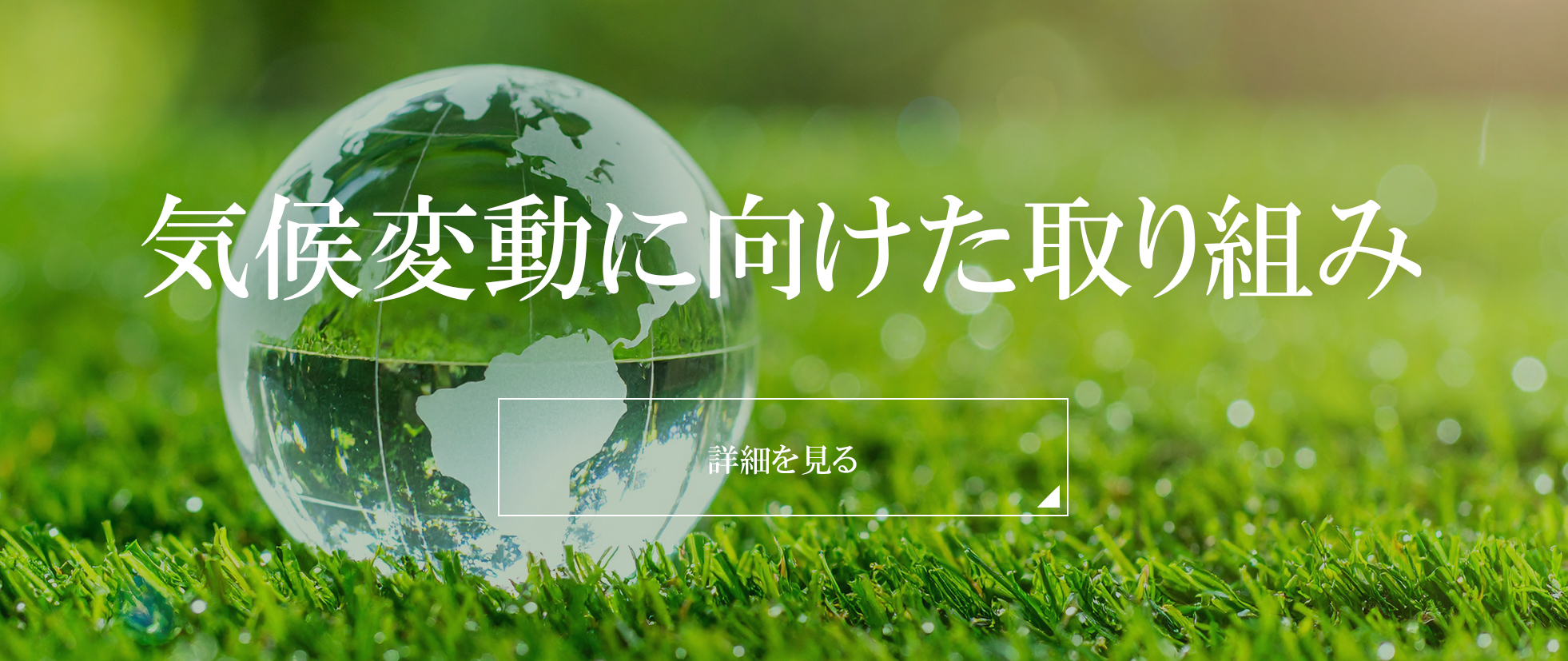 気候変動に向けた取り組み